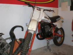 cimg2481